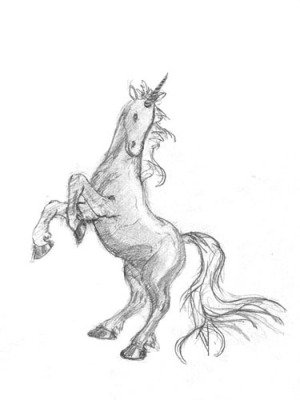 Unicorn Pencil Drawings